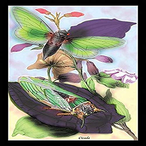 Buyenlarge 0-587-15079-3-P1827 Cicada Paper Poster, 18" x 27" Buyenlarge 0-587-15079-3-P1827 Cicada Paper Poster, 18" x 27"