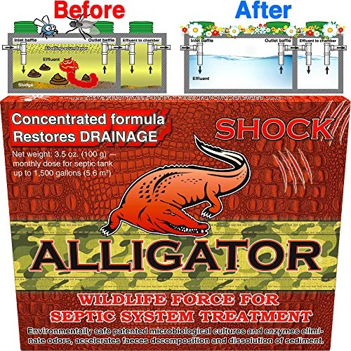 Septic treatment, safe enzyme and advanced bacteria for best septic tank treatment, flush toilet closet with bio active organic corn grits powder monthly for aerobic odor and sludge drainfield control