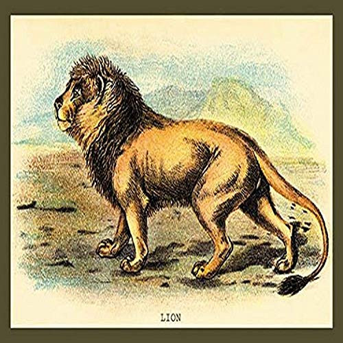 Buyenlarge 0-587-15614-7-P1218 Lion Paper Poster, 12" x 18" Buyenlarge 0-587-15614-7-P1218 Lion Paper Poster, 12" x 18"