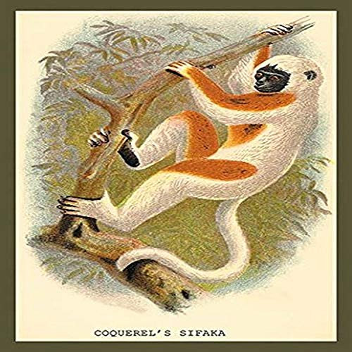 Buyenlarge "Conquerel's Siafka Paper Poster, 18" x 27" Buyenlarge "Conquerel's Siafka Paper Poster, 18" x 27"