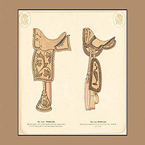 Buyenlarge 0-587-17176-6-G1827 'Morgan Saddles #2' Giclee Fine Art Print, 18" x 27"