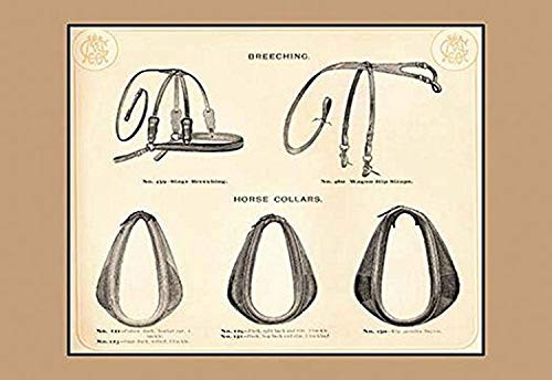 Buyenlarge Breeching and Horse Collars - 16" X 24" Fine Art Giclee Print