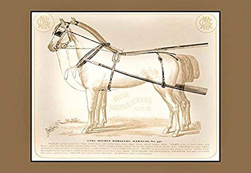 Buyenlarge Fine Double Barouche Harness - 16" X 24" Fine Art Giclee Print Buyenlarge Fine Double Barouche Harness - 16" X 24" Fine Art Giclee Print