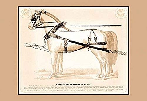 Buyenlarge Chicago Truck Harness - 16" X 24" Fine Art Giclee Print Buyenlarge Chicago Truck Harness - 16" X 24" Fine Art Giclee Print