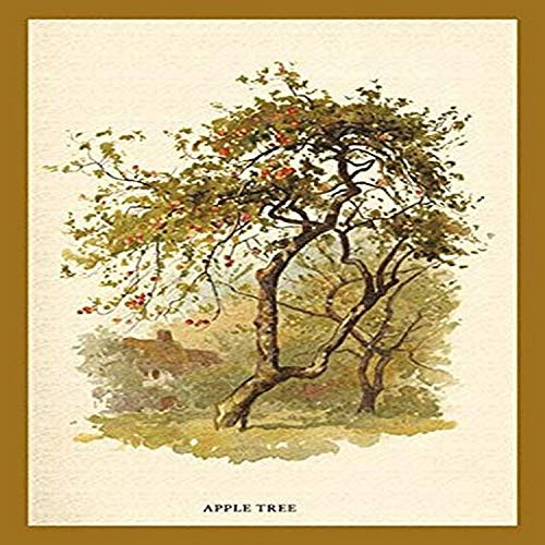 Buyenlarge 0-587-17639-3-G1827 'Apple Tree' Giclee Fine Art Print, 18" x 27"