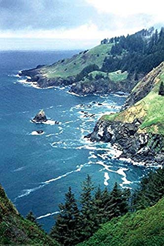Buyenlarge The Lookout at Otter Crest - 8" X 12" Fine Art Giclee Print