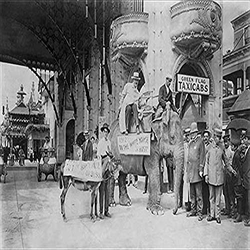 Buyenlarge "Elephant and Donkey in Luna Park Paper Poster, 18" x 27"