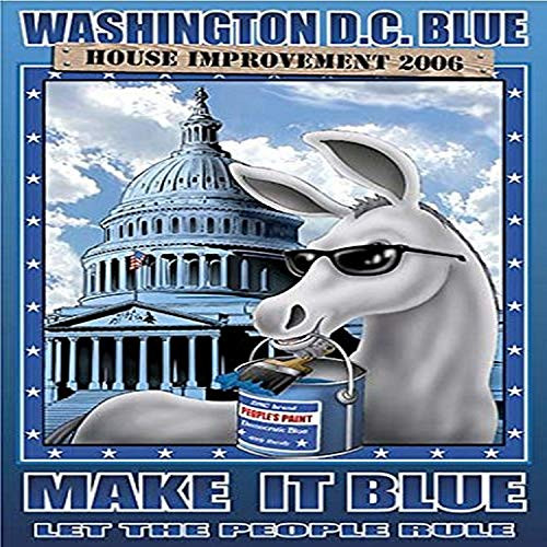 Buyenlarge 0-587-20358-7-G1827 'Washington DC Blue-House Improvement 2006' Giclee Fine Art Print, 18" x 27"