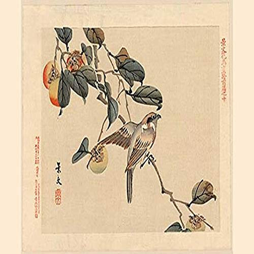 Buyenlarge 0-587-20427-3-G1827 'Hawk and Peaches' Giclee Fine Art Print, 18" x 27"