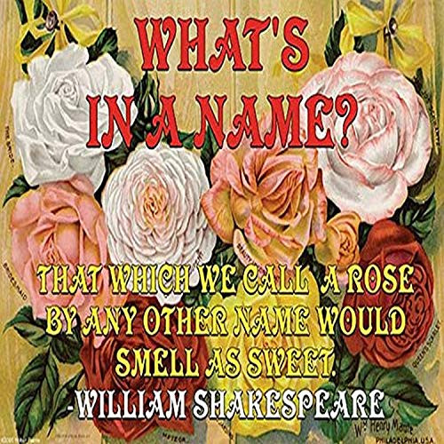 Buyenlarge 0-587-20728-0-P1218 What's in a Name? Paper Poster, 12" x 18"