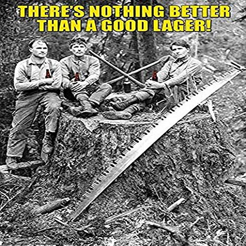 Buyenlarge 0-587-21146-6-P1218 There's Nothing Better Than A Good Lager Paper Poster, 12" x 18"
