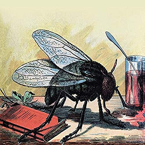 Buyenlarge 0-587-22459-2-P1218 The Fly Paper Poster, 12" x 18"