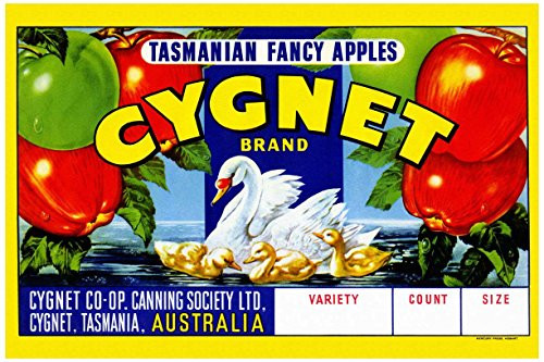 Buyenlarge "Cygnet Tasmanian Fancy Apples Paper Poster, 18" x 27"