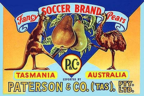 Buyenlarge Fancy Soccer Brand Pears - 16" X 24" Fine Art Giclee Print
