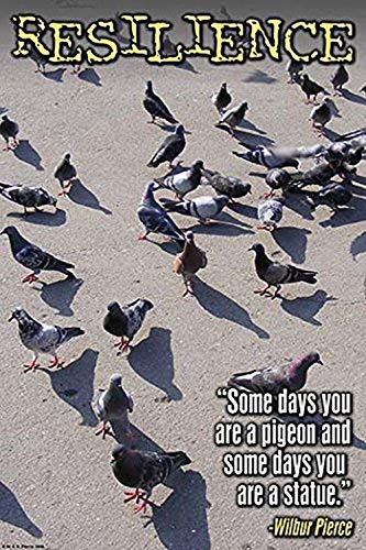 Buyenlarge Pigeons - 16" X 24" Fine Art Giclee Print
