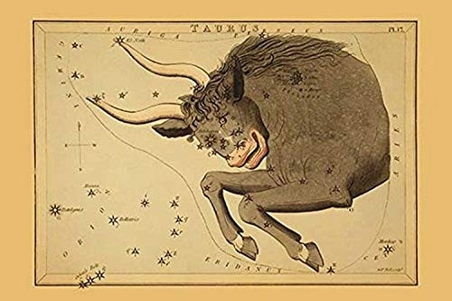 Buyenlarge 0-587-23212-9-G1827 'Taurus The Bull' Giclee Fine Art Print, 18" x 27"