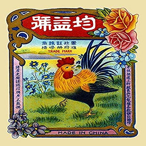 Buyenlarge 0-587-23317-6-P2030 Rooster by The River Firecrackers' Paper Poster, 20 by 30-Inch