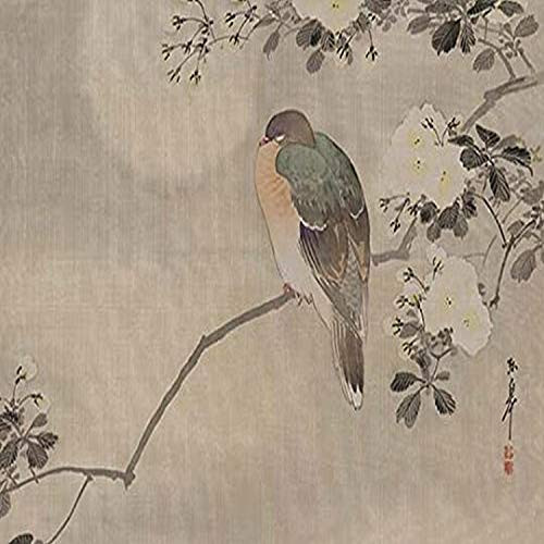 Buyenlarge Robin Sitting on A Tree Branch - 8" X 12" Fine Art Giclee Print