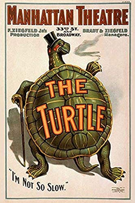 Buyenlarge 0-587-23826-7-G812 Manhattan Theatre Production The Turtle Fine Art Giclee Print, 8" x 12" Buyenlarge 0-587-23826-7-G812 Manhattan Theatre Production The Turtle Fine Art Giclee Print, 8" x 12"