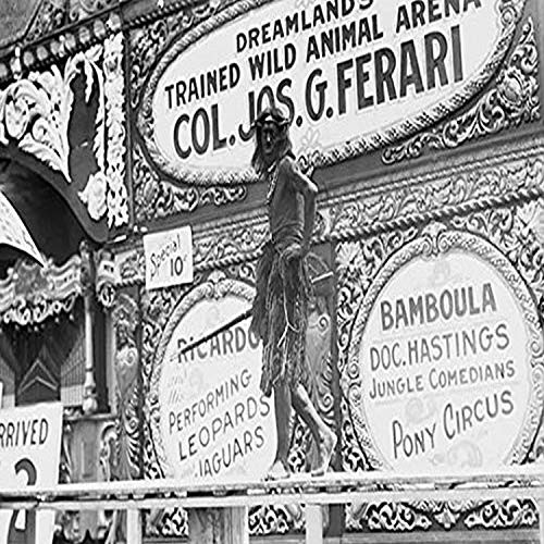 Buyenlarge 0-587-23862-3-G812 Coney Island Fine Art Giclee Print, 8" x 12" Buyenlarge 0-587-23862-3-G812 Coney Island Fine Art Giclee Print, 8" x 12"
