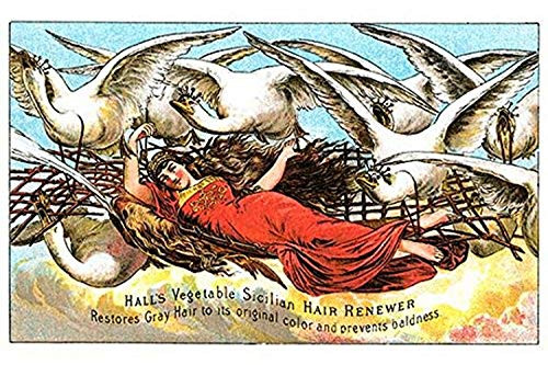 Buyenlarge Hall's Vegetable Sicillian Hair Renewer - 18" X 27" Paper Poster. (Edition 11086),
