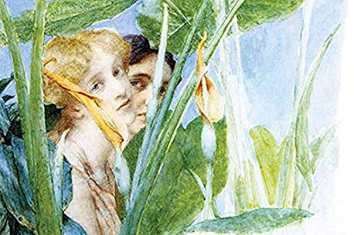 Buyenlarge 0-587-25320-7-P1827 A Beautiful Flower Paper Poster, 18" x 27"