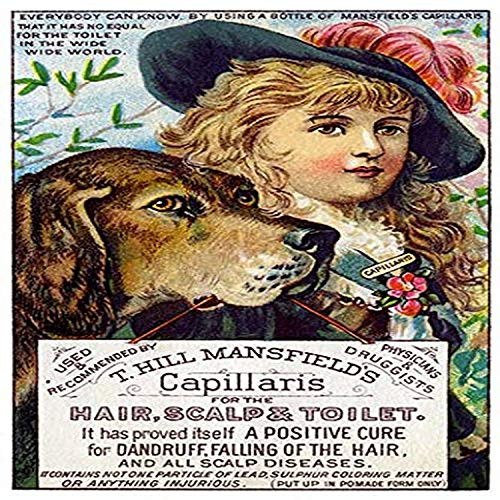 Buyenlarge 0-587-25469-6-P1218 T. Hill Mansfield's Capillaris (Edition 8459)" Paper Poster, 12" x 18"