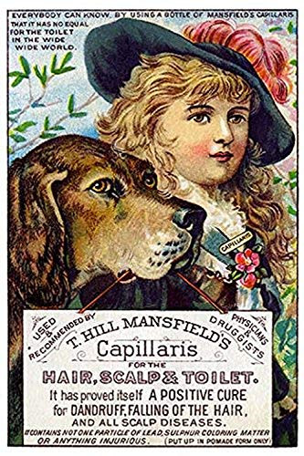 Buyenlarge 0-587-25469-6-P1827 T. Hill Mansfield's Capillaris (Edition 11142)" Paper Poster, 18" x 27"