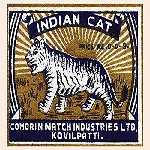 Buyenlarge Indian Cat - 8" X 12" Fine Art Giclee Print