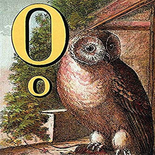 Buyenlarge O for The Owl That Sees in The Dark - 8" X 12" Fine Art Giclee Print