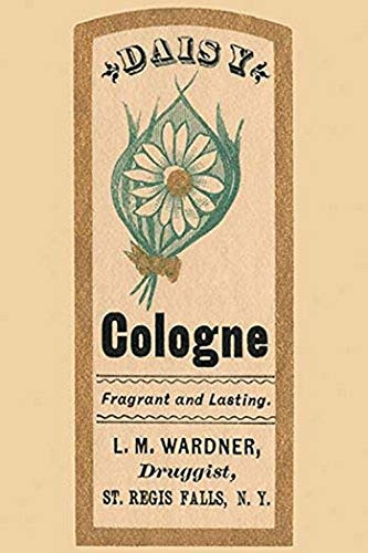 Buyenlarge 0-587-26857-3-P1827 Daisy Cologne Paper Poster, 18" x 27"