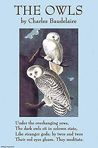 Buyenlarge 0-587-27192-2-P1827 The Owls Paper Poster, 18" x 27"