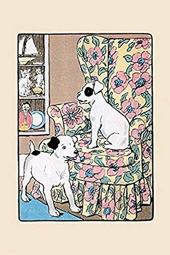 Buyenlarge 0-587-27276-7-P1827 Alert After The Nap Paper Poster, 18" x 27"