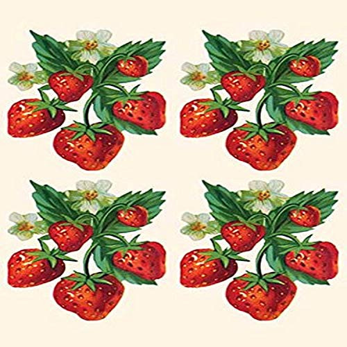 Buyenlarge 0-587-27634-7-G1827 'Four Bunches of Strawberries' Giclee Fine Art Print, 18" x 27"