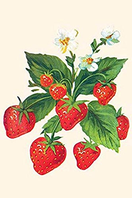 Buyenlarge 0-587-27636-3-P1827 Strawberries and Flowers Paper Poster, 18" x 27"