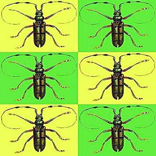 Buyenlarge 0-587-28279-7-G1827 'Long Antennae Beetles' Giclee Fine Art Print, 18" x 27" Buyenlarge 0-587-28279-7-G1827 'Long Antennae Beetles' Giclee Fine Art Print, 18" x 27"