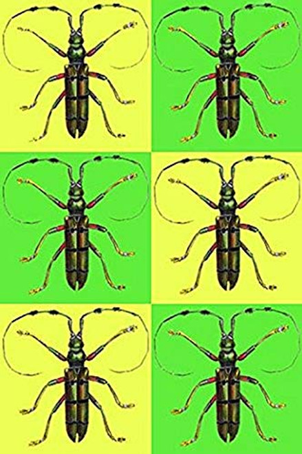 Buyenlarge 0-587-28279-7-P1827 Long Antennae Beetles Paper Poster, 18" x 27"