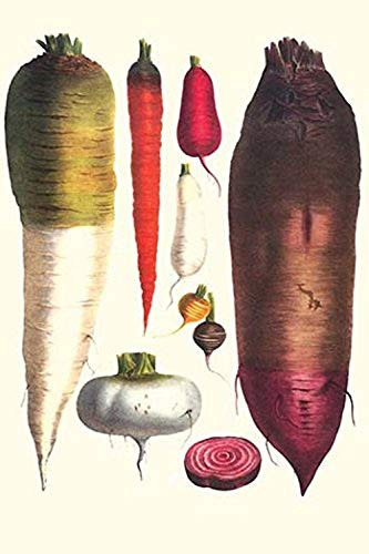 Buyenlarge 0-587-28539-7-P1827 Tubers Paper Poster, 18" x 27"