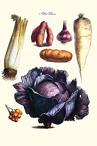 Buyenlarge 0-587-28603-2-G1624 Vegetables; Cabbage, Celery, Yam, Potato, Onion, Tomato, Horse Raddish Fine Art Giclee Print, 16" x 24"