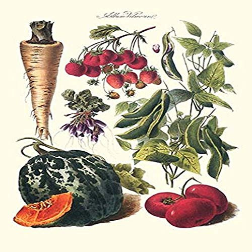 Buyenlarge 0-587-28614-8-P1218 Vegetables; Strawberries, Beans, Tomato, Melon, and Raddish Paper Poster, 12" x 18"