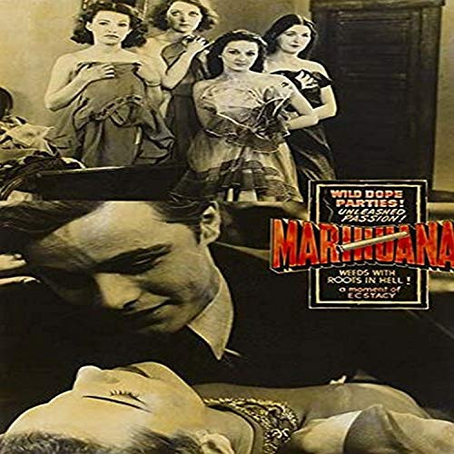 Buyenlarge 0-587-28644-x-P1218 Wild Dope Parties! Marihuana Paper Poster, 12" x 18"