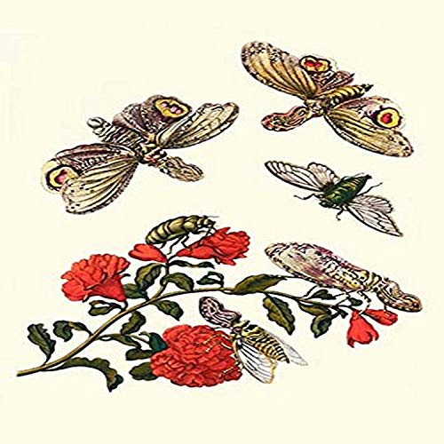 Buyenlarge 0-587-28766-7-G1827 'Sundown Cicada & a Peanut-Headed Lantern Fly' Giclee Fine Art Print, 18" x 27" Buyenlarge 0-587-28766-7-G1827 'Sundown Cicada & a Peanut-Headed Lantern Fly' Giclee Fine Art Print, 18" x 27"