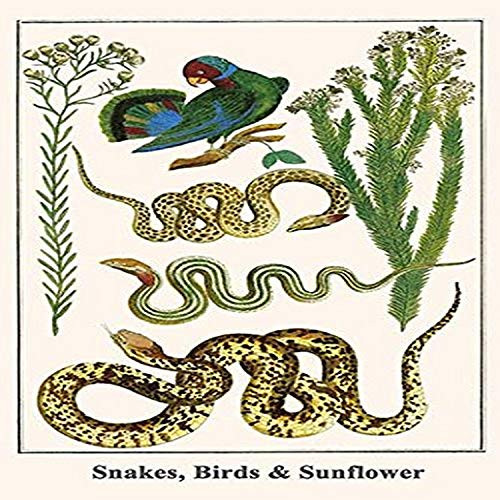 Buyenlarge 0-587-29741-7-G1827 'Snakes, Birds & Sunflower' Giclee Fine Art Print, 18" x 27"