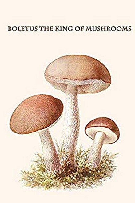 Buyenlarge 0-587-30008-6-G1624 Boletus The King of Mushrooms Fine Art Giclee Print, 16" x 24" Buyenlarge 0-587-30008-6-G1624 Boletus The King of Mushrooms Fine Art Giclee Print, 16" x 24"
