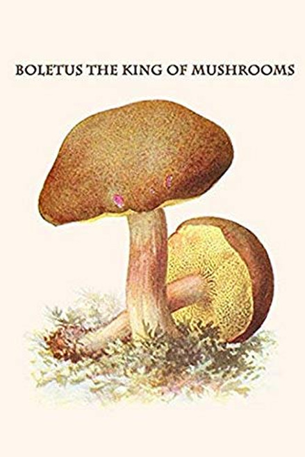 Buyenlarge 0-587-30010-8-G1624 Boletus The King of Mushrooms Fine Art Giclee Print, 16" x 24" Buyenlarge 0-587-30010-8-G1624 Boletus The King of Mushrooms Fine Art Giclee Print, 16" x 24"