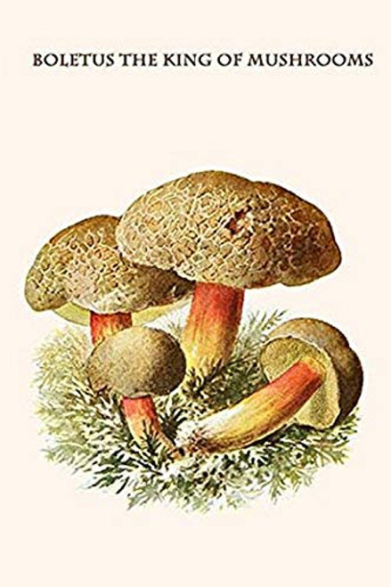 Buyenlarge 0-587-30011-6-G1624 Boletus The King of Mushrooms Fine Art Giclee Print, 16" x 24" Buyenlarge 0-587-30011-6-G1624 Boletus The King of Mushrooms Fine Art Giclee Print, 16" x 24"