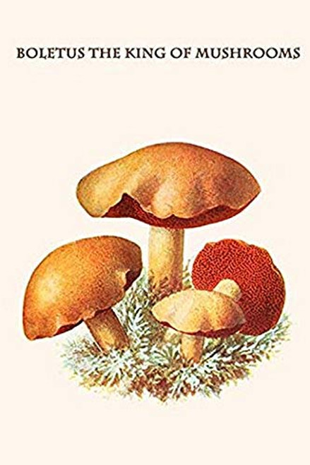 Buyenlarge 0-587-30013-2-G1624 Boletus The King of Mushrooms Fine Art Giclee Print, 16" x 24" Buyenlarge 0-587-30013-2-G1624 Boletus The King of Mushrooms Fine Art Giclee Print, 16" x 24"