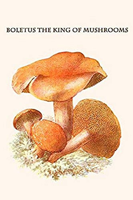 Buyenlarge 0-587-30037-x-G1624 Boletus The King of Mushrooms Fine Art Giclee Print, 16" x 24" Buyenlarge 0-587-30037-x-G1624 Boletus The King of Mushrooms Fine Art Giclee Print, 16" x 24"