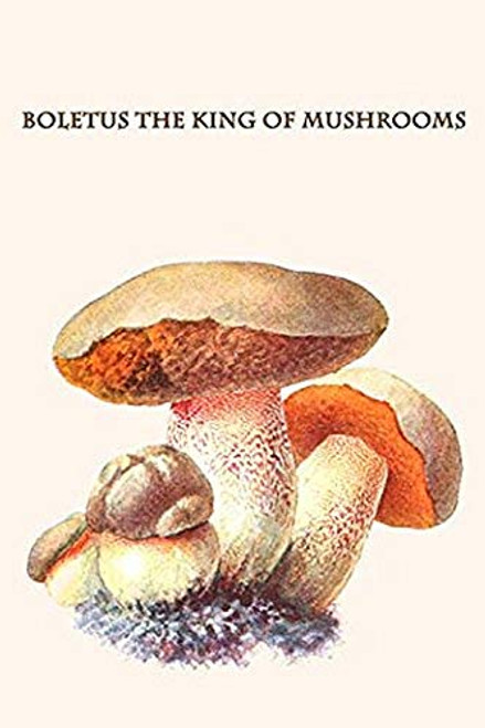 Buyenlarge 0-587-30041-8-G1624 Boletus The King of Mushrooms Fine Art Giclee Print, 16" x 24" Buyenlarge 0-587-30041-8-G1624 Boletus The King of Mushrooms Fine Art Giclee Print, 16" x 24"