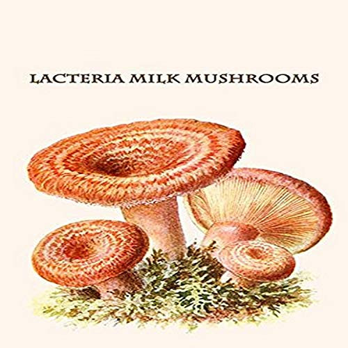 Buyenlarge 0-587-30050-7-G1827 'Lacteria Milk Mushrooms' Giclee Fine Art Print, 18" x 27"